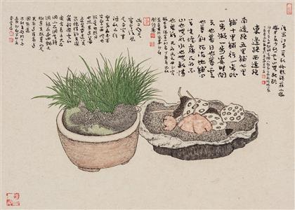 菖蒲