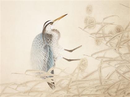 国画 工笔画 > 秋塘鹭影   编号:p02719 类别:工笔画       陈禾青