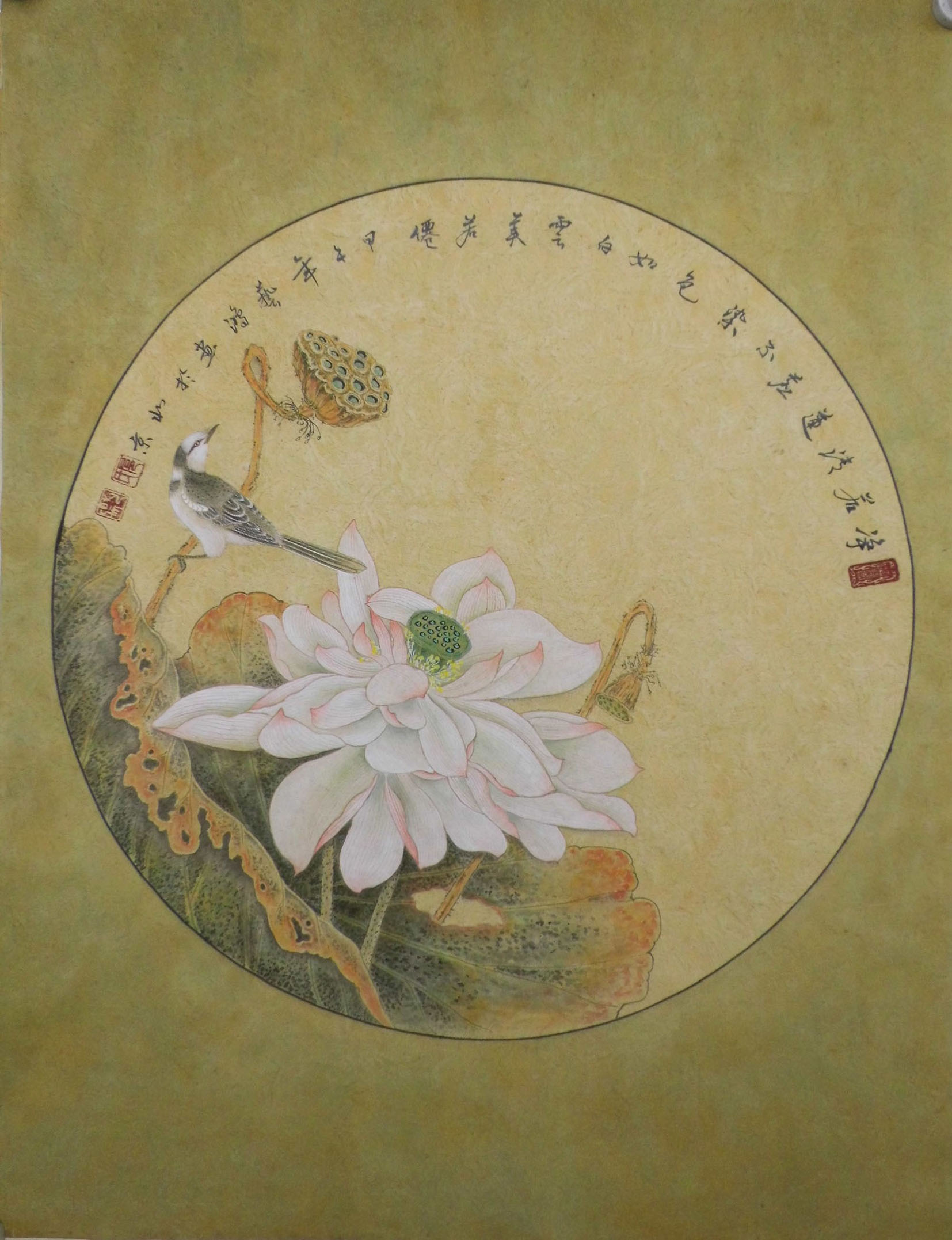 > 户广生国画荷花,扇面中国画纯手绘精品,送礼佳品莲花图